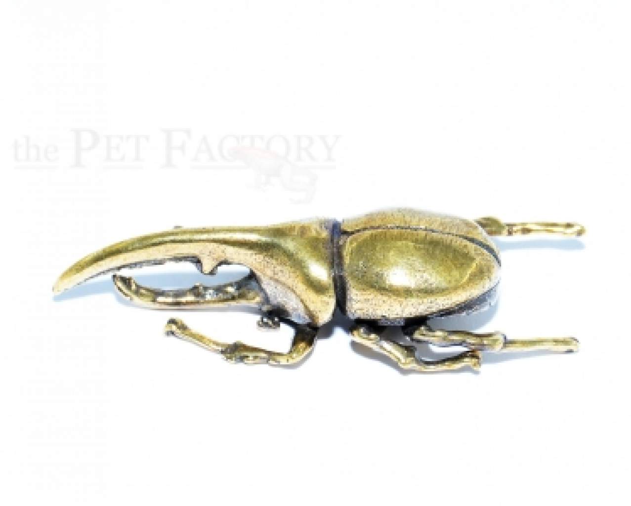 Dynastes Figur aus Metall